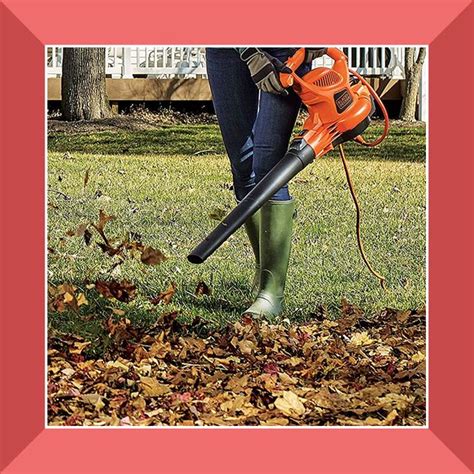 8 Best Leaf Vacuums for 2023 - Leaf Vacuum Reviews