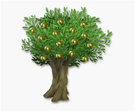 Olive Leaf Tree Clip Art - Olive Tree With Olives Png, Transparent Png - kindpng