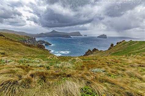 Campbell Island Landscapes - WildLight Photography