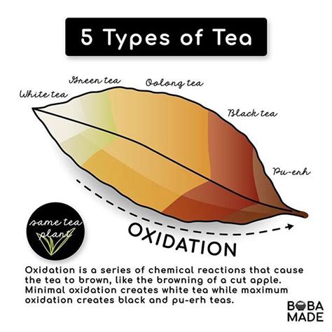 💡Did you know it’s all in the oxidation?😱💡 All types of tea are from the same tea plant! White ...