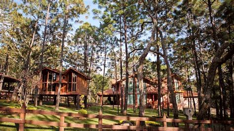 Cabañas de Mazamitla: el lugar dónde la naturaleza te cobijará