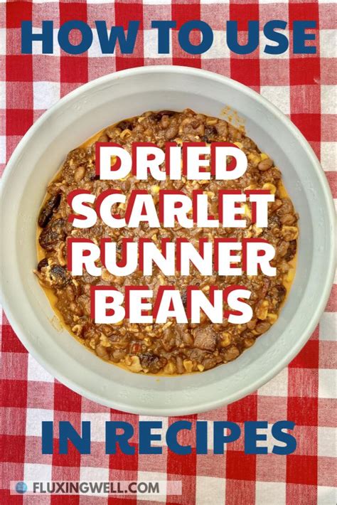 Scarlet Runner Beans Recipes: Canned, Dried, Easy in 2022 | Scarlet ...