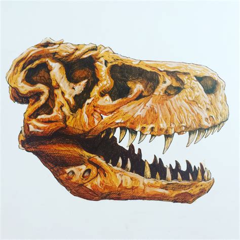 I started an oil painting portrait of Sue! [Dino Art] : r/Dinosaurs