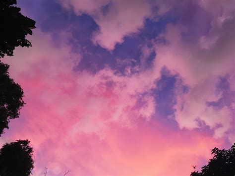 Cotton Candy sunset sky. Pink | Clouds, Cotton candy sky, Sunset sky