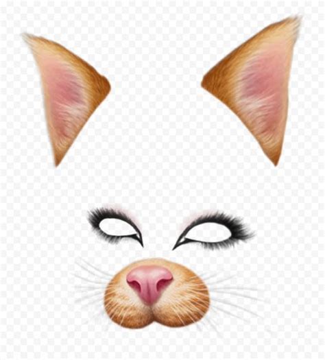 Cute Snapchat Cat Face Filter PNG Image