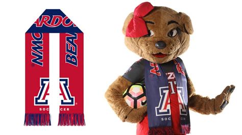 Custom Soccer Scarves for Teams and Fans - SportsScarf, LLC