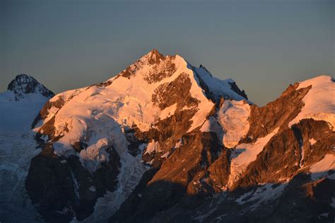 https://flic.kr/p/Lmhtjj | Piz Bernina (4049 m) at sunrise | Seen from Piz… Piz Bernina, Hector ...