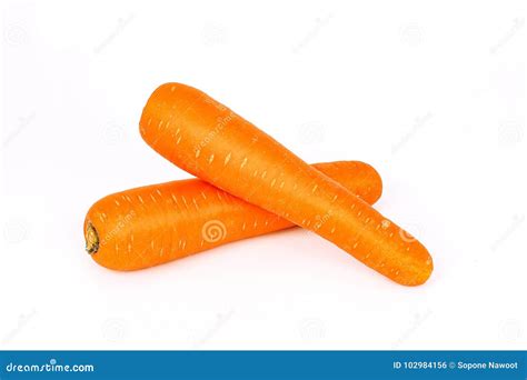 Fresh organic carrot stock photo. Image of plant, diet - 102984156