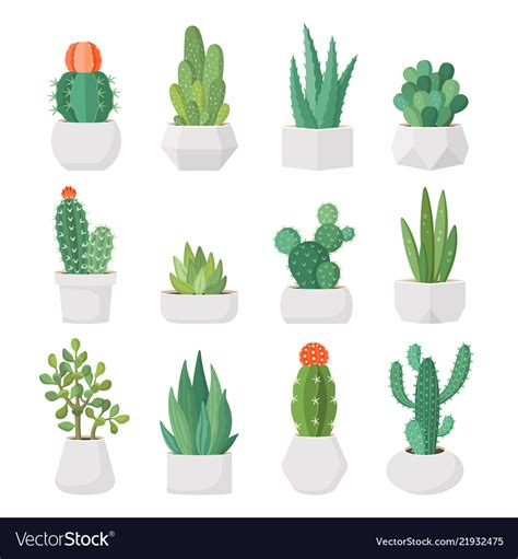 Cartoon cactus and succulents in pots set Vector Image