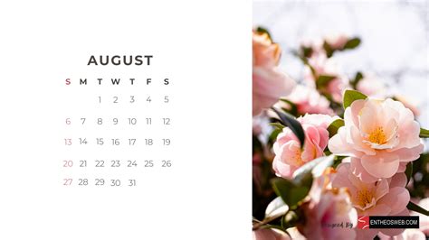 August 2023 Calendar Wallpapers - Top Free August 2023 Calendar Backgrounds - WallpaperAccess