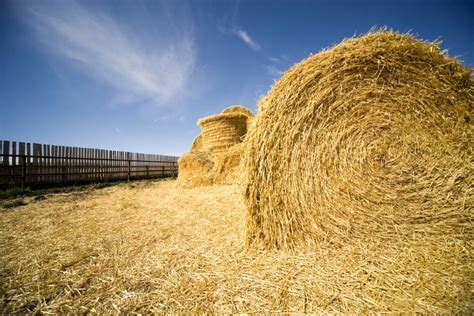 Stack bales properly to help maintain quality | Canadian Cattlemen