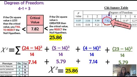 Chi Square Test Genetics Practice Problems - BraedenkruwPacheco