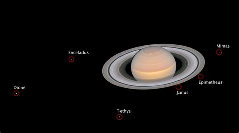 Saturn and its moons at opposition (annotated… | The Planetary Society