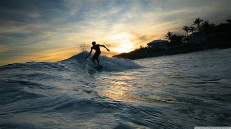 25 Best images about Surfing & Waves! on Pinterest | Surf, Ducks and ...