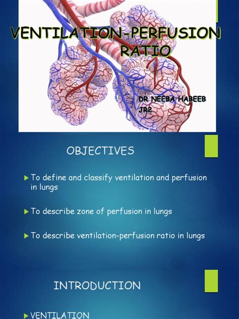 Ventilation-Perfusion Ratio | PDF | Lung | Respiratory System