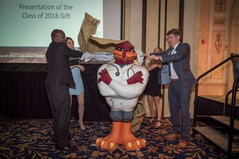 Video: HokieBird statue created for VTCSOM after 100 percent of Class of 2018 donated to their ...