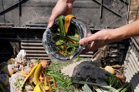 Sampah Sisa Makanan Sudah Mengkhawatirkan - Envira ID | Berita Terkini Lingkungan Hidup dan ...