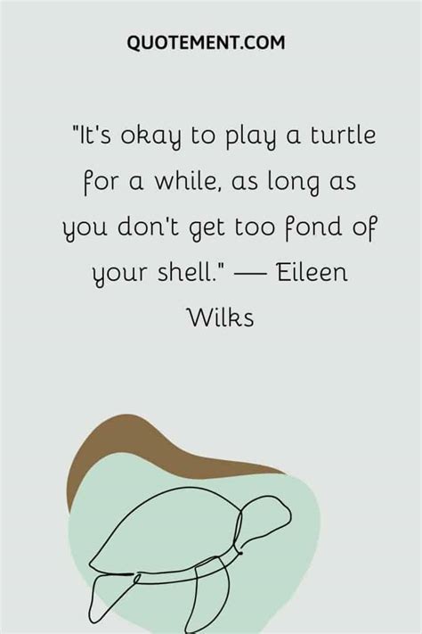 110 Turtle Quotes For Your Daily Dose Of Inspiration