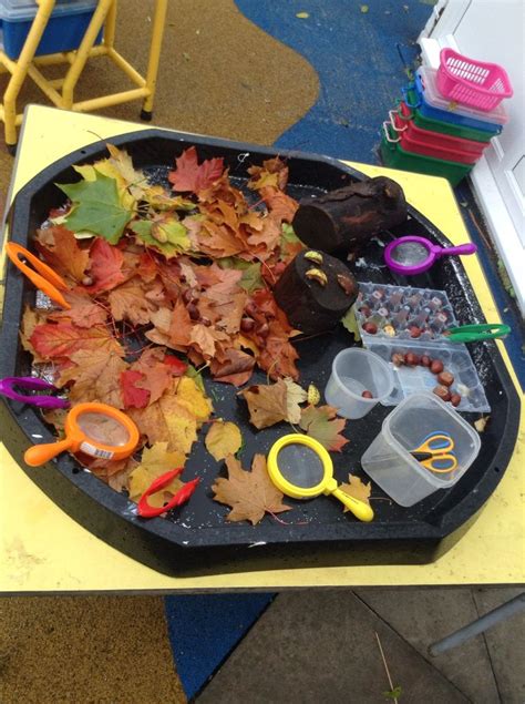 Children loved exploring the autumn tuff spot | Tuff spot, Autumn ...