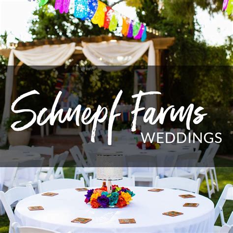 Schnepf Farms Weddings | Farm wedding, Rustic wedding venues, Phoenix wedding venue