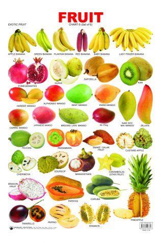 Educational Charts Series: Fruit chart 5 | Fruit, Fruits and vegetables names, Types of fruit