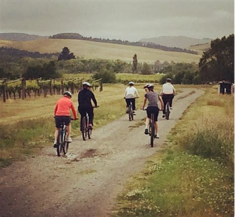 New Zealand Wine Tours: Discover the Waipara Valley By Bike