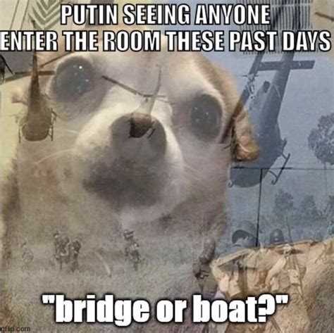 Bridge or boat - warmemes.com.ua