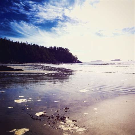 Tonquin Beach Tofino BC | Tofino bc, Beach, Tofino