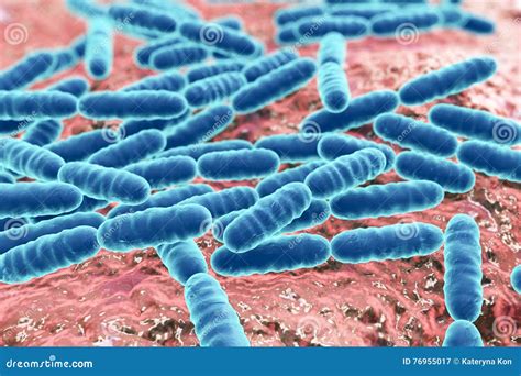 Probiotic Bacteria Lactobacillus Stock Illustration - Illustration of producing, microbe: 76955017