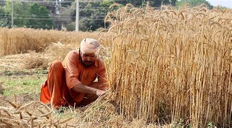 Punjab govt to hold first round of talks with farmers on February 12 | Chandigarh News - The ...