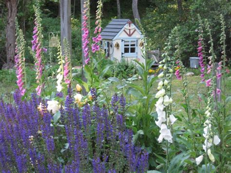 Whimsical Cottage Gardening...... - Sit With Me In My Garden