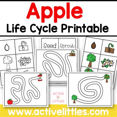 Apple Life Cycle Printable