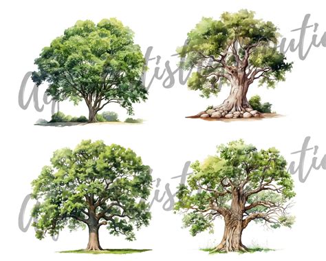 Watercolor Oak Tree Digital Download Wall Art Watercolor Clipart Oak ...