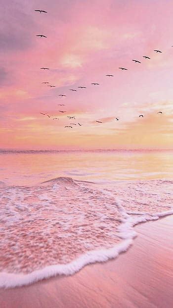 300+ Wallpaper Pink Ocean - MyWeb