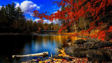 Autumn Lake Wallpaper | Season Wallpaper | Pinterest | Wallpaper