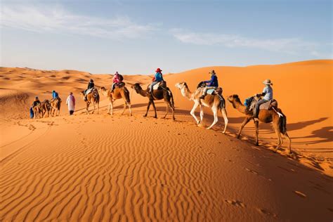 Pastoralists may have delayed the desertification of the Sahara • Earth.com