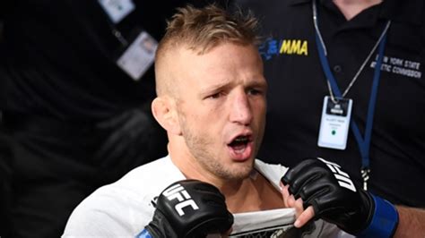 What time is the Cory Sandhagen vs. TJ Dillashaw fight tonight? Live ...