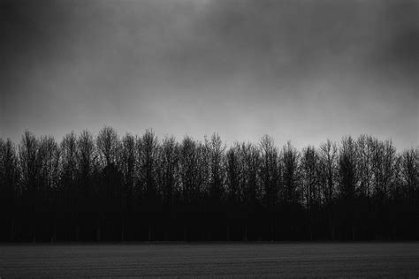 Dark Tree Line - Black and White Landscape Photograph – Keith Dotson Photography