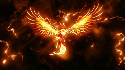 Moltres Wallpapers - Wallpaper Cave