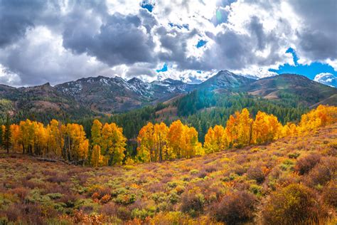 Sonora Pass! Eastern Sierras Fall Foliage California Fall Color! High Sierras Autumn Aspens Red ...