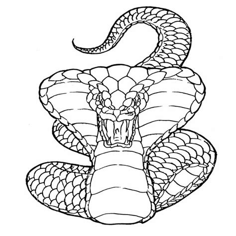 Angry outline cobra snake tattoo design - Tattooimages.biz