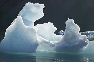 Growler Iceberg from ice calving off Pederson Glacier, Kenai Fjords National Park