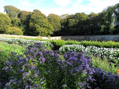 Colclough Walled Garden, Tintern Abbey - Wexford | Garden wall, Gardens ...