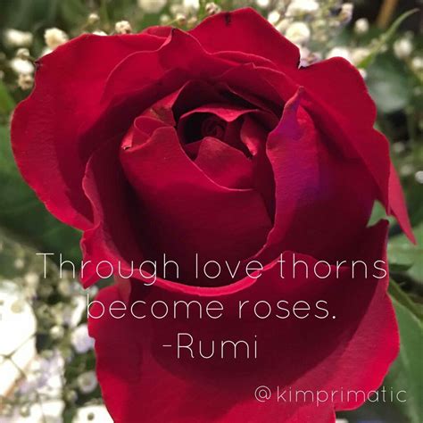 Rumi - Through love thorns become roses | Rumi love, Rumi, Marriage relationship