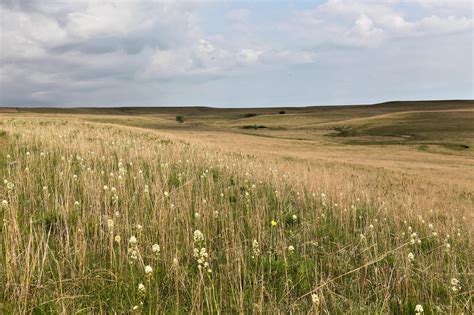 Tallgrass Prairie National Preserve, Kansas [5243x3495] [OC] : r/EarthPorn