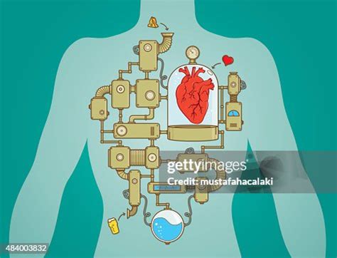 Heart Working Process As A Machine High-Res Vector Graphic - Getty Images