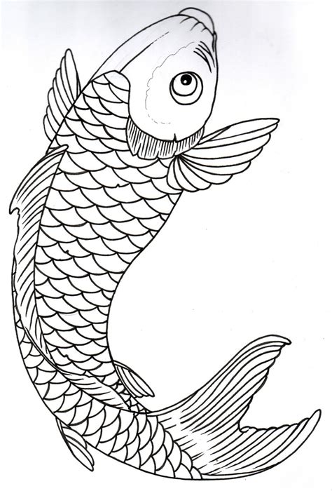 Fish Pencil Sketch at PaintingValley.com | Explore collection of Fish Pencil Sketch