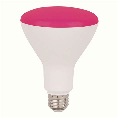 65-Watt Equivalent 8-Watt BR30 Dimmable LED Pink Light Bulb 80988-BR30FL8/PNK/LED 80988 - The ...