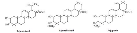 Terminalia arjuna - Scientific Review on Usage, Dosage, Side Effects ...