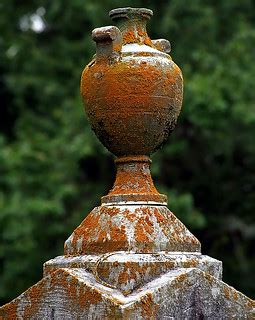 Cincinnati - Spring Grove Cemetery & Arboretum "Lichens On… | Flickr